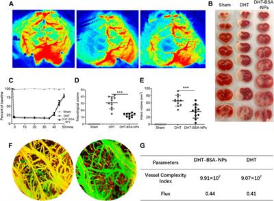 Enhanced Bioavailability of Dihydrotanshinone I–Bovine Serum Albumin Nanoparticles for Stroke Therapy